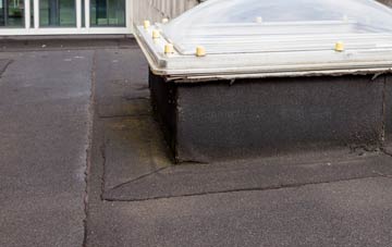 disadvantages of Llanferres flat roofs